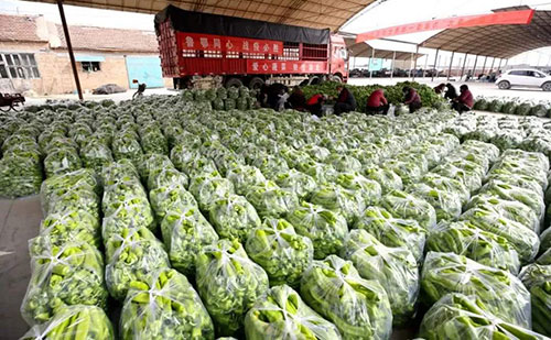 我是湖南長沙蔬菜批發(fā)市場，買多少錢的農(nóng)藥殘留檢測儀合適？