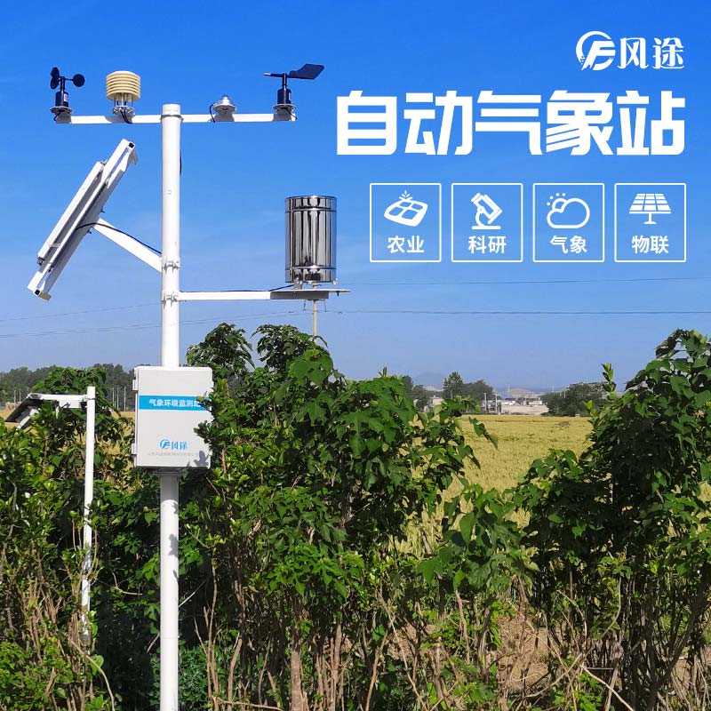 小麥穗期病蟲害如何監(jiān)測？
