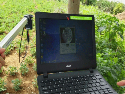 植物冠層圖像分析儀可以測量什么？